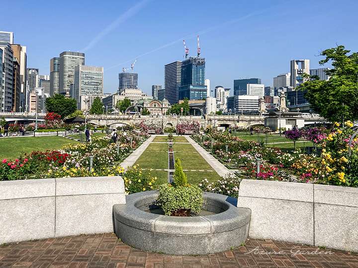 中之島バラ園(Nakanoshima Rose Garden)