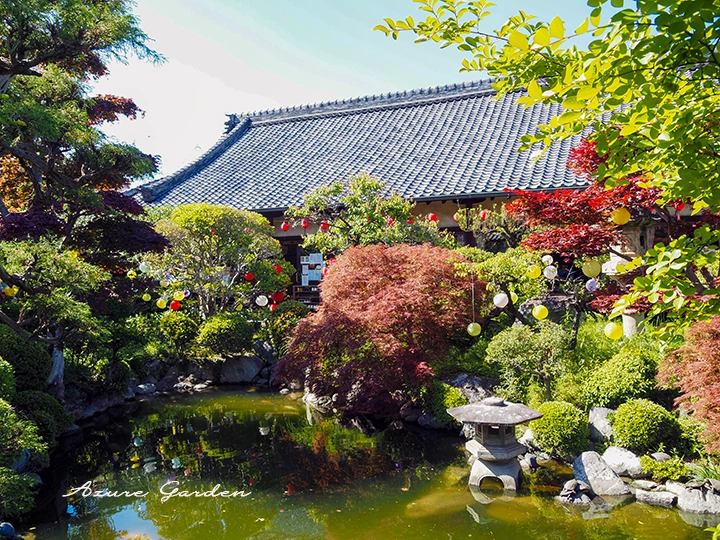 おふさ観音の日本庭園「円空庭」と池泉風景