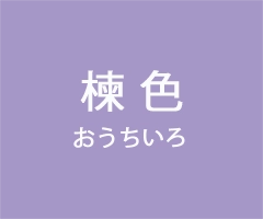 日本の伝統色　楝色（おうちいろ）