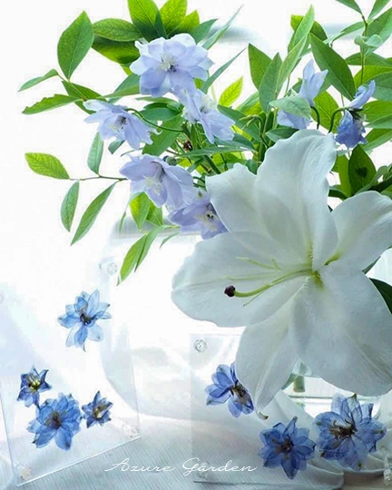 押し花を透明のフレームに挟んで、アレンジメントと一緒に飾りました。