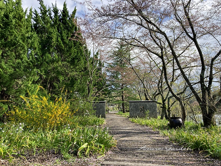 自然の景観を生かした園内の小道。