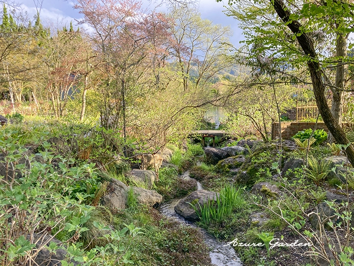 里山の自然の中に咲く桜の風景。