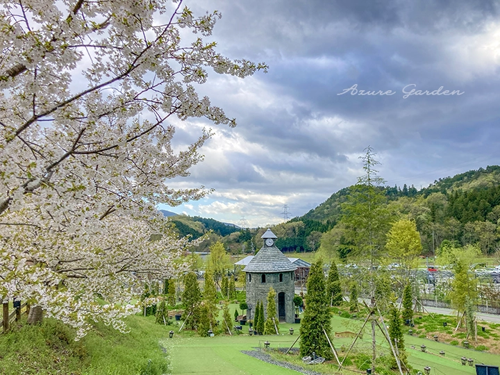 桜の向こうに広がる、ローザンベリー多和田の春の風景。
