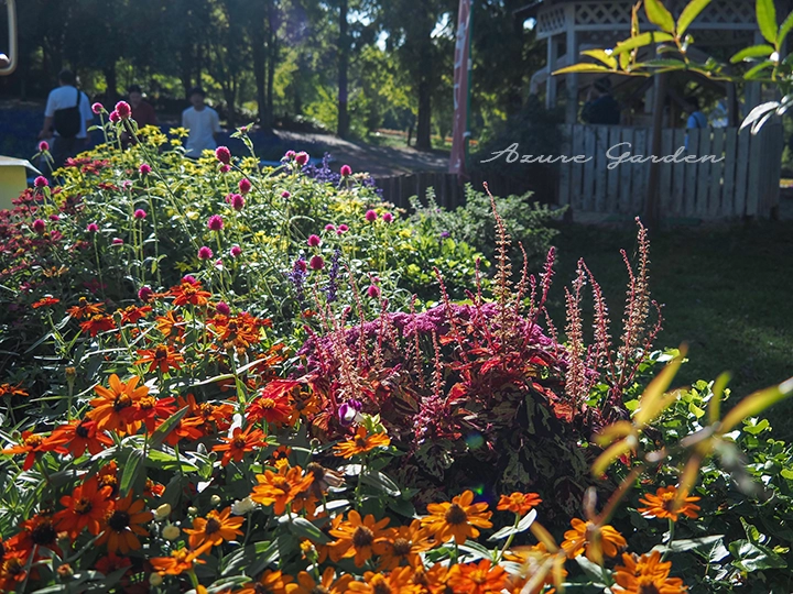 秋色のフラワーガーデン