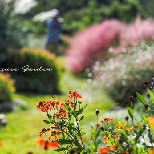 秋の世羅高原農場