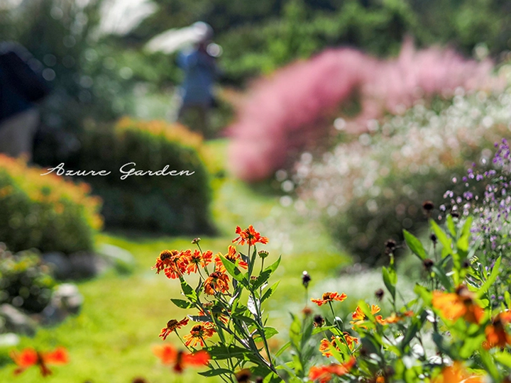 秋の世羅高原農場