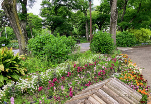 メンテナンスをしている花壇