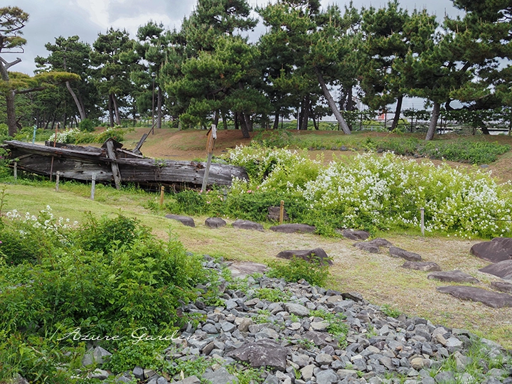 浜寺公園 ばら庭園の海辺の景