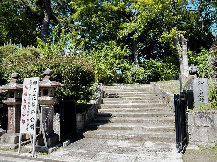 卯の花苑は武道館の向かい