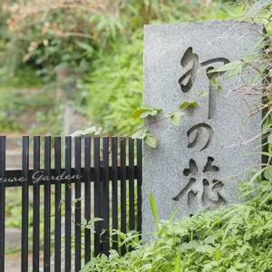 住吉大社の卯の花苑を訪ねて 〜開花状況とウツギの花々を写真でご紹介〜