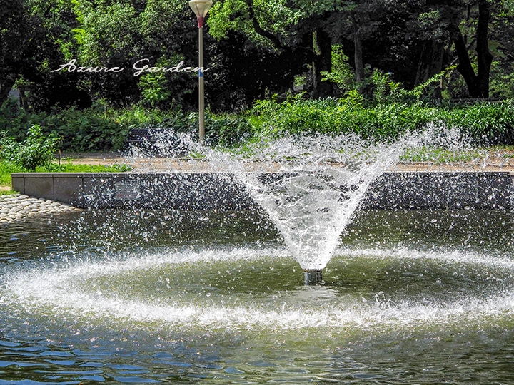 海エリアの噴水