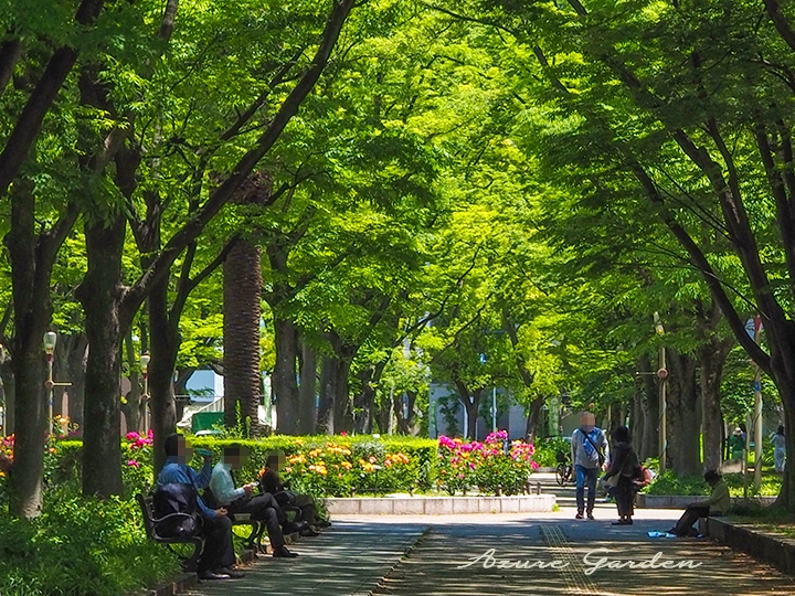 ある日の午後 - 靱公園