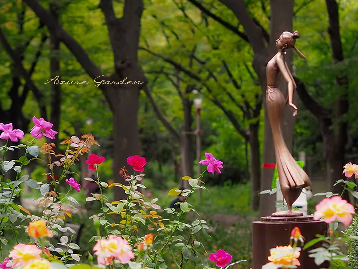 秋の靭公園 バラとアート作品