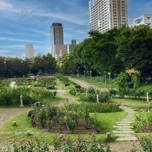 大阪・靱公園のバラ園を歩く｜地形を生かした庭園デザインと見どころ