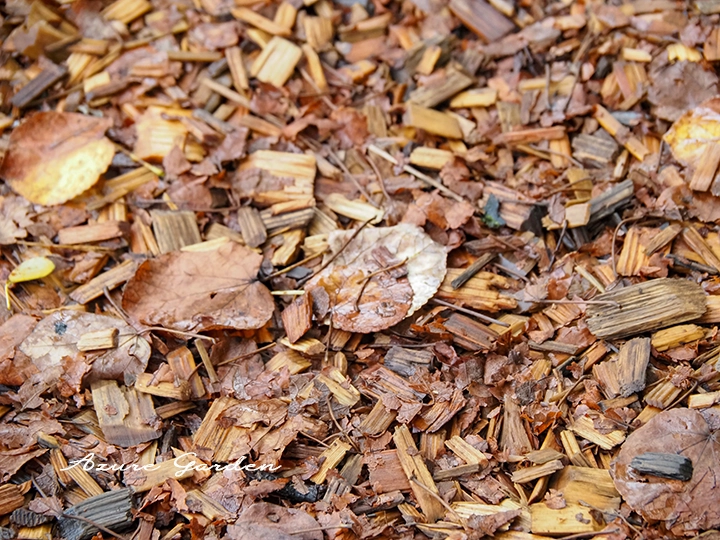 散策路のウッドチップ