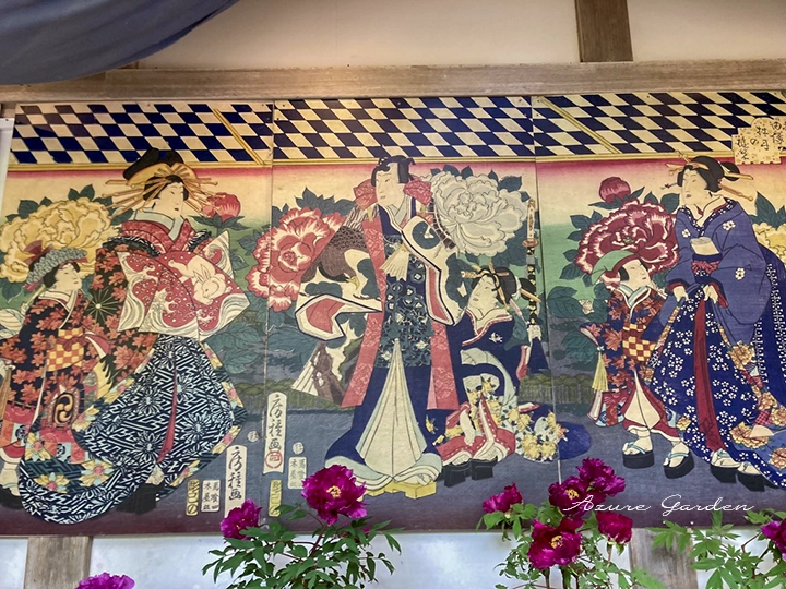 錦絵とともに展示された牡丹の品種展示コーナー