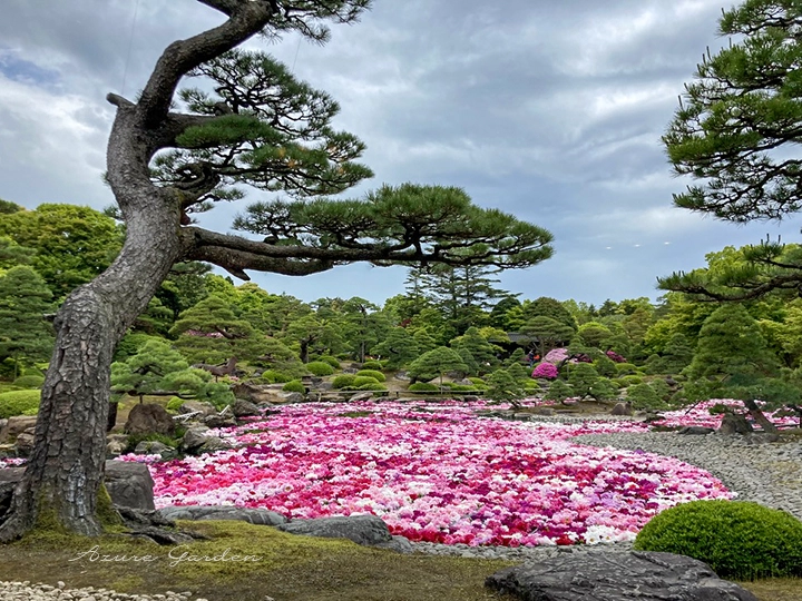 喫茶室からの風景