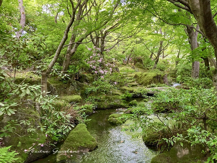 苔むした岩と水の流れが美しい由志園の庭